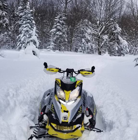 Meet your Posher, Dan - Picture 1 of 1